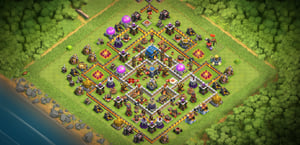 Mi base